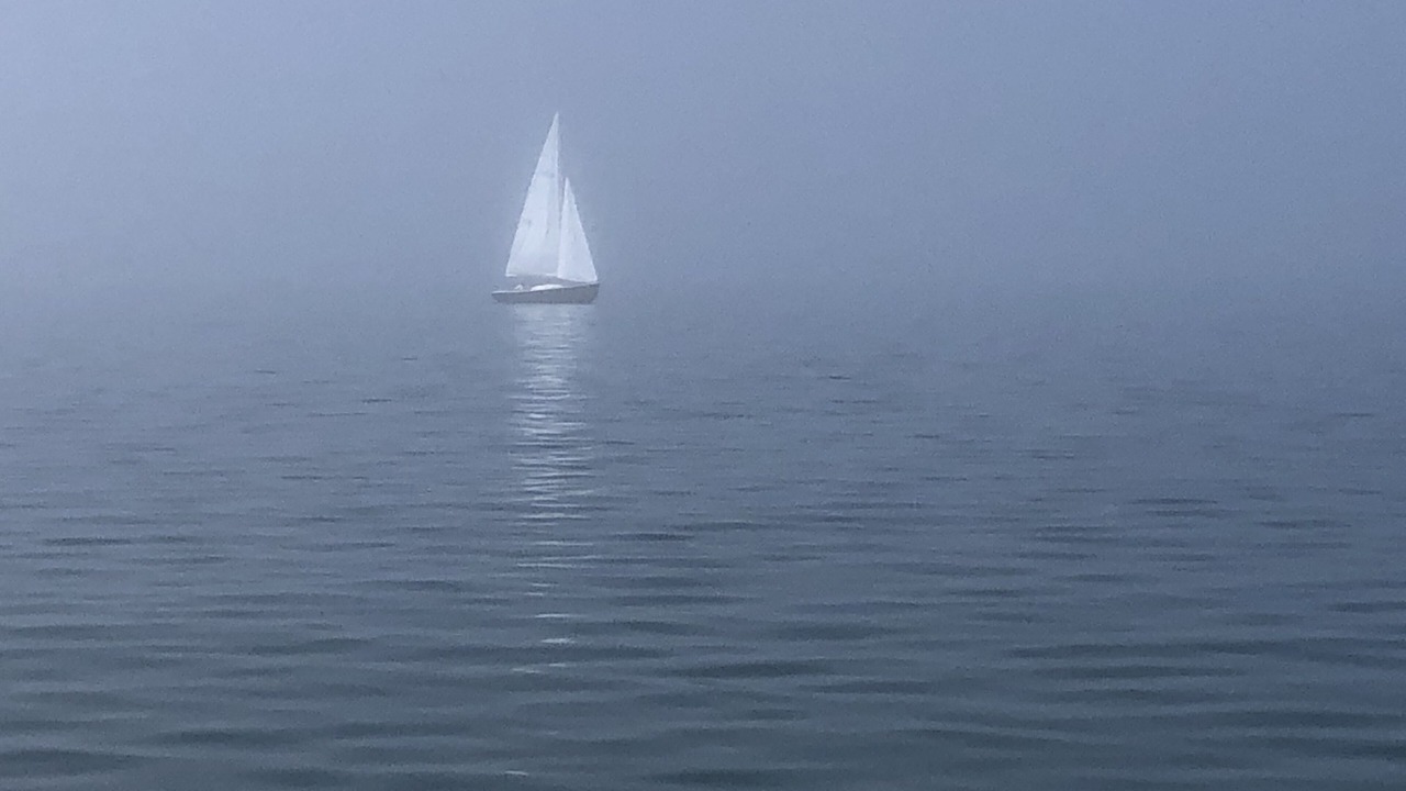 Photo of Others in Wellfleet
