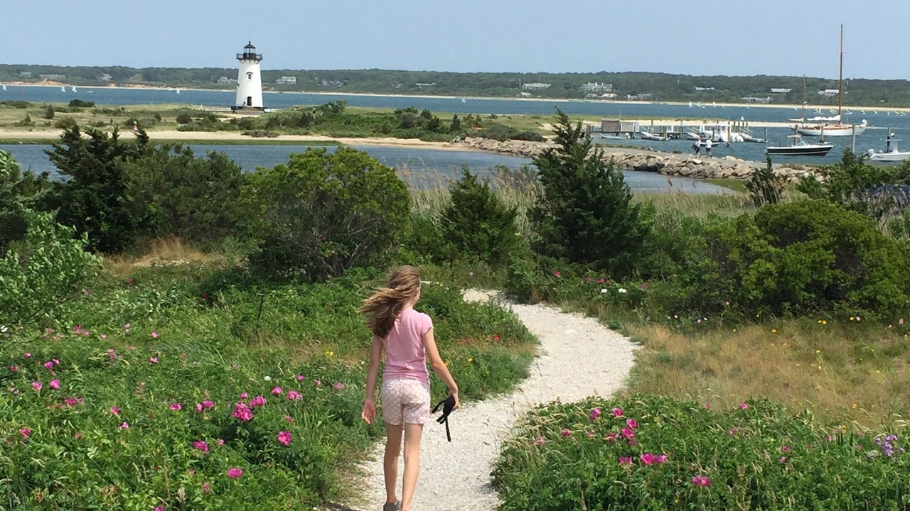 Photo of Others in Edgartown