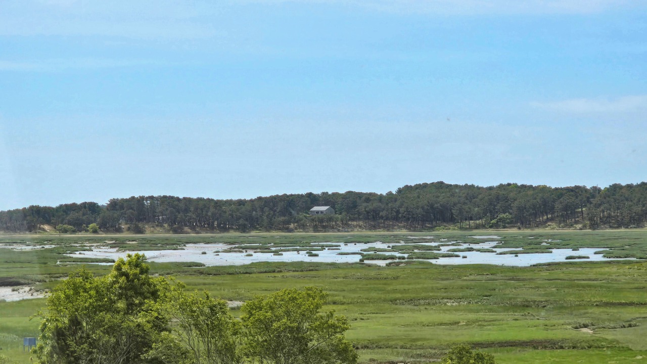 Photo of Others in Wellfleet