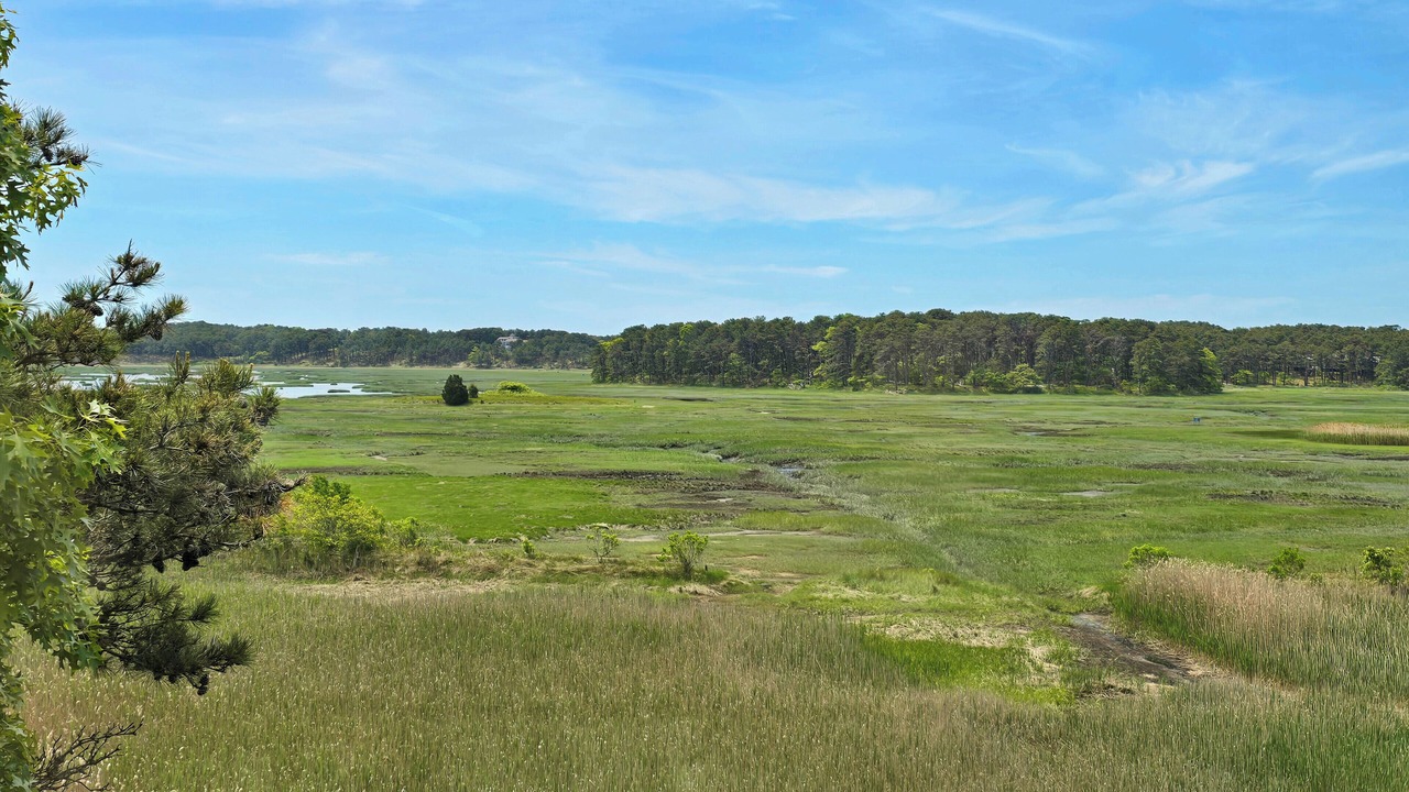 Photo of Others in Wellfleet