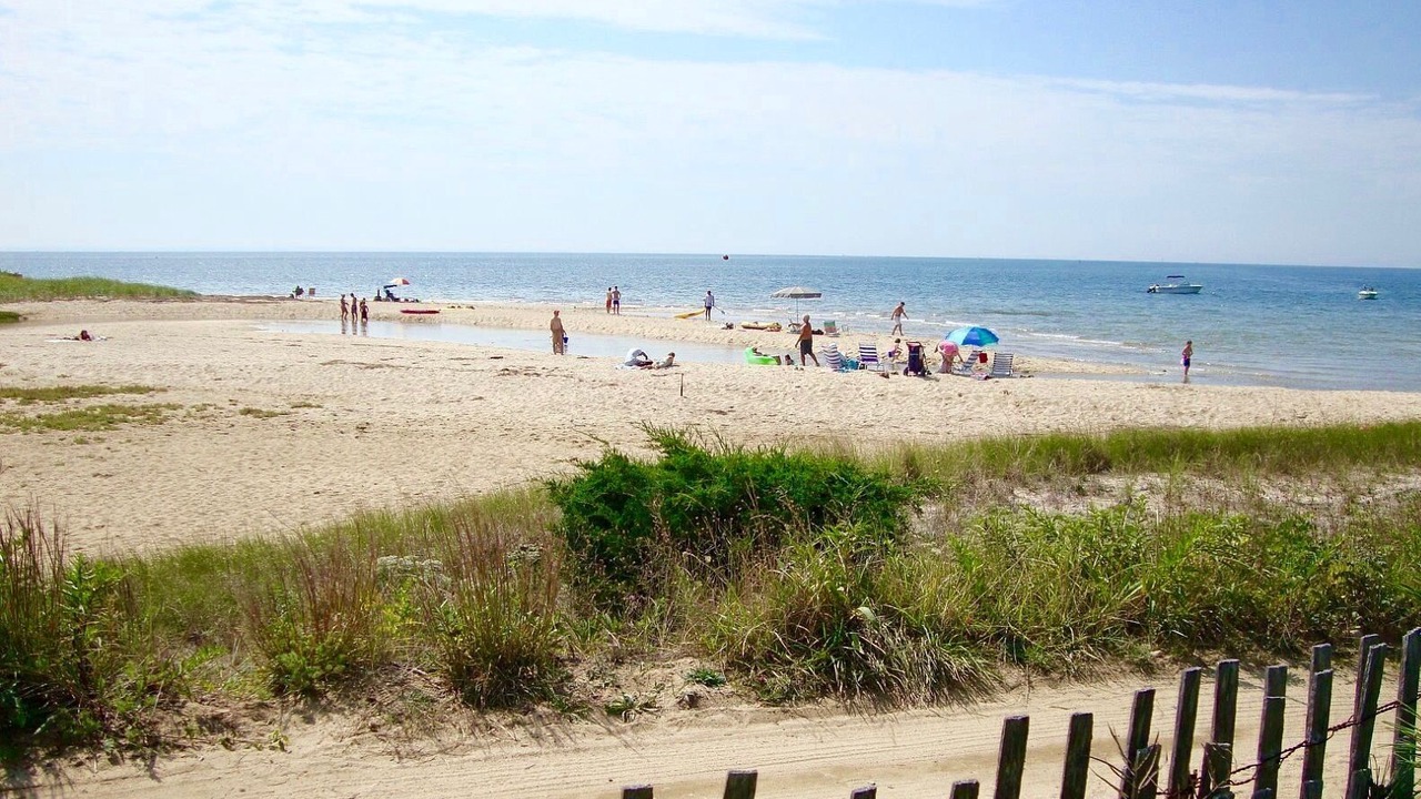 Photo of Others in Indian Neck Heights