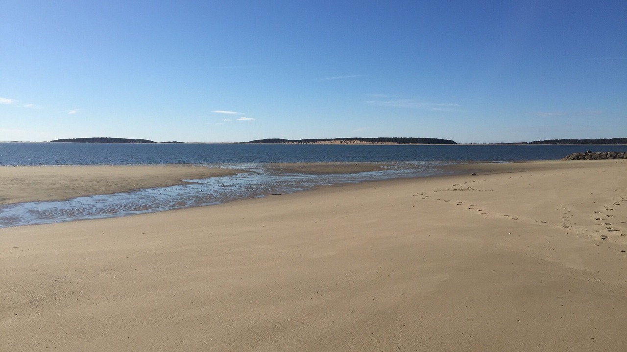 Photo of Others in Indian Neck Heights