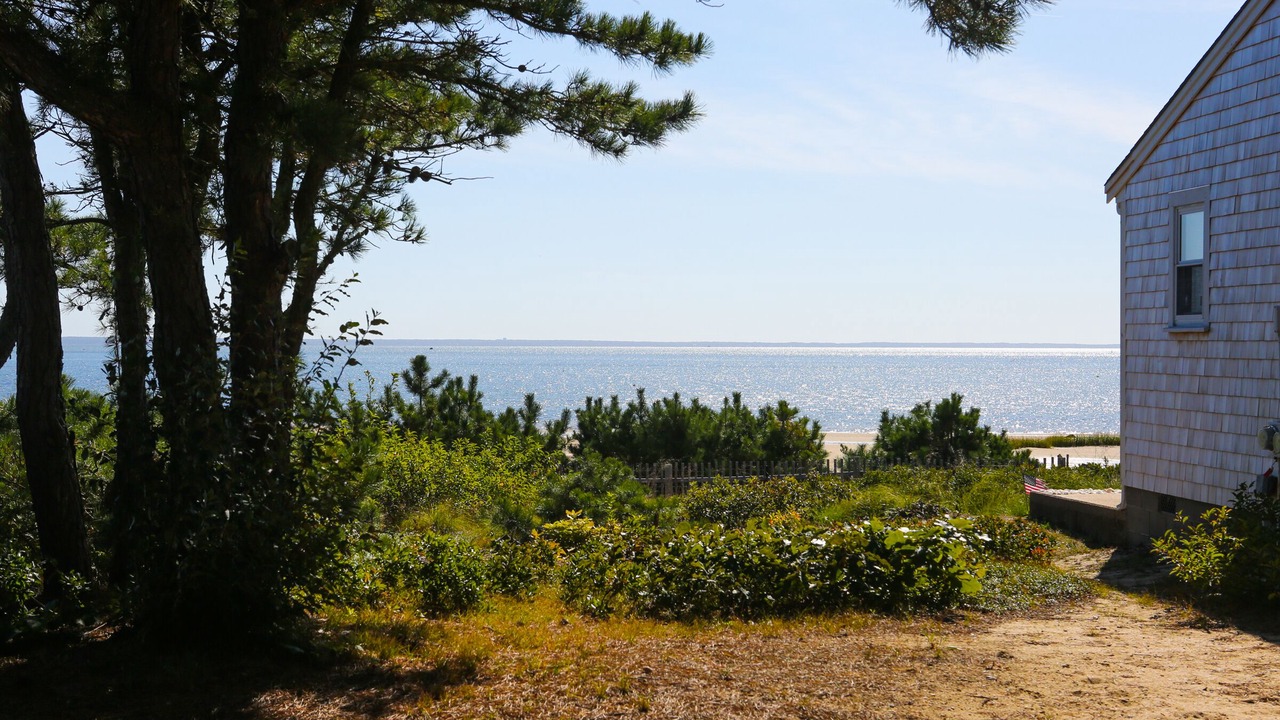 Photo of Outdoor in Indian Neck Heights