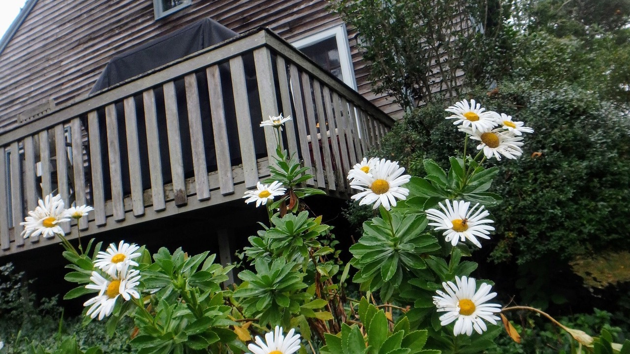 Photo of Outdoor in Brewster
