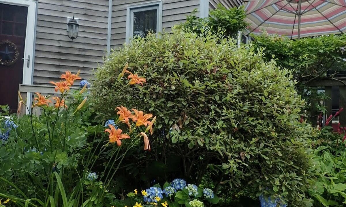 Photo of Outdoor in Brewster