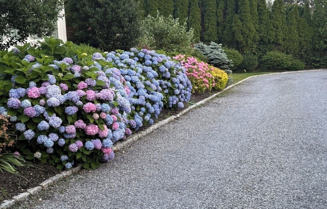 Photo of Outdoor in Shinnecock Hills