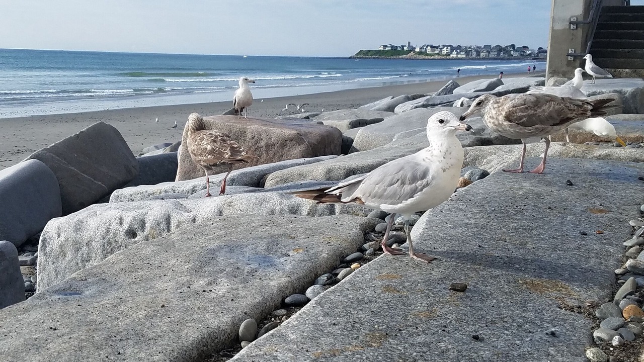 Photo of Others in Hampton