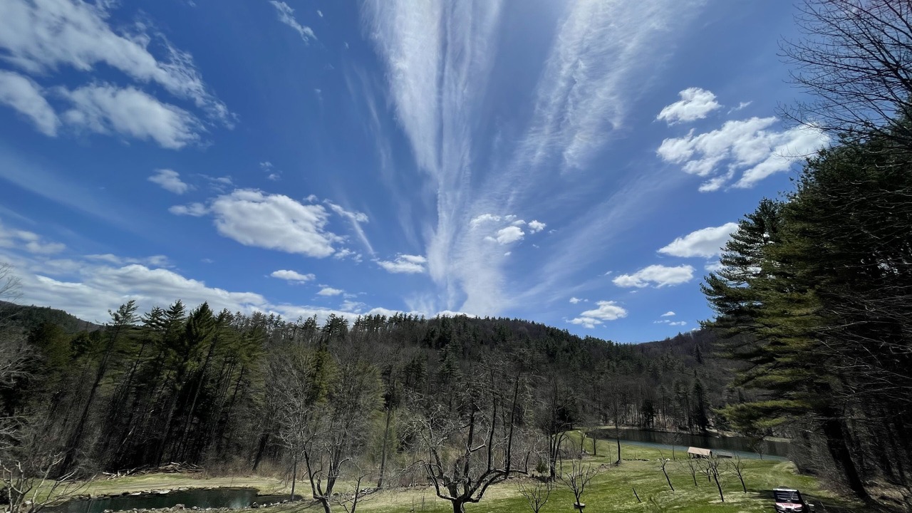 Photo of Outdoor in Sharon
