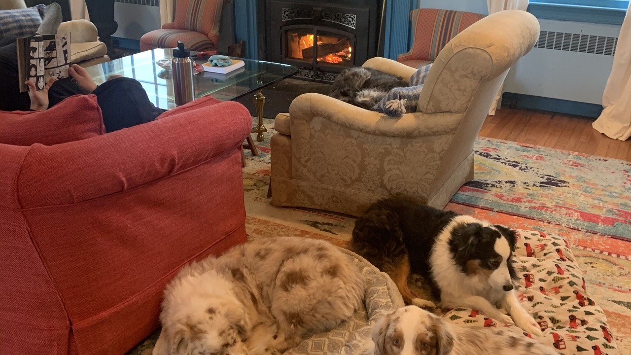 Photo of Livingroom in Wilton