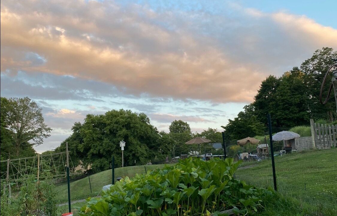 Photo of Outdoor in Wilton