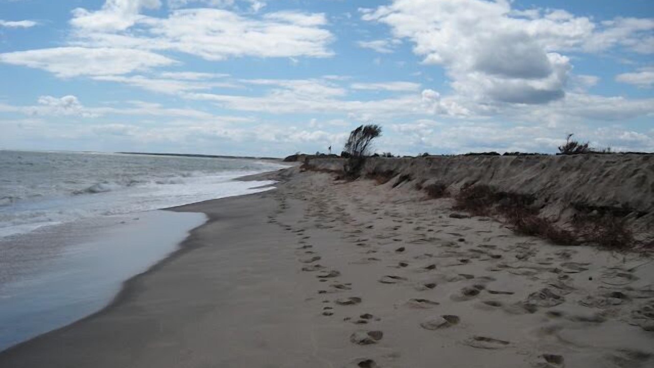 Photo of Others in Edgartown