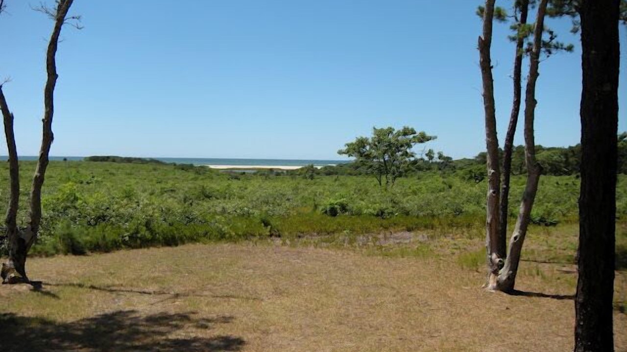 Photo of Others in Edgartown