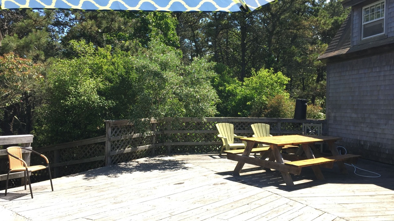 Photo of Outdoor in Edgartown
