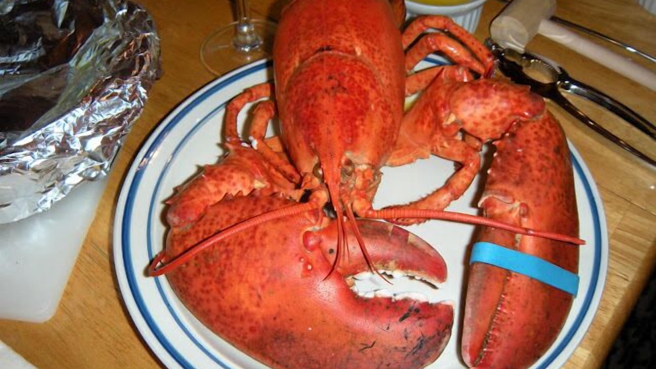 Photo of Others in Edgartown