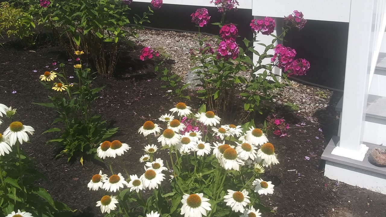 Photo of Outdoor in Moultonborough