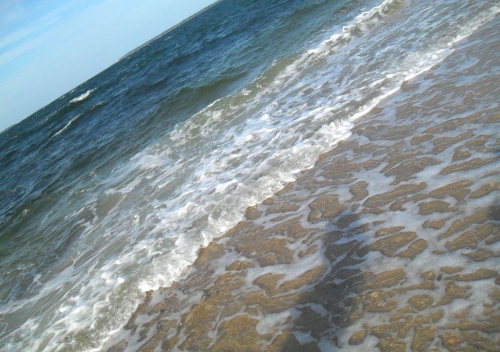 Photo of Others in Hampton Bays