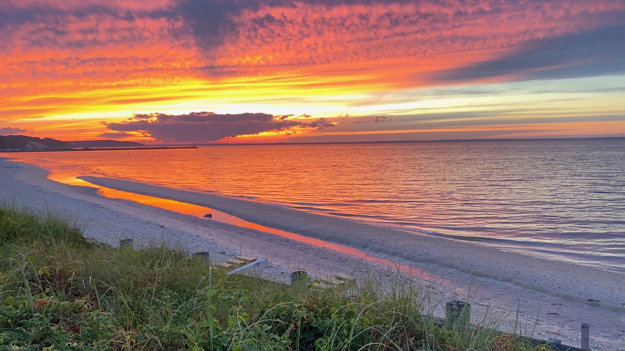 Photo of Others in Hampton Bays