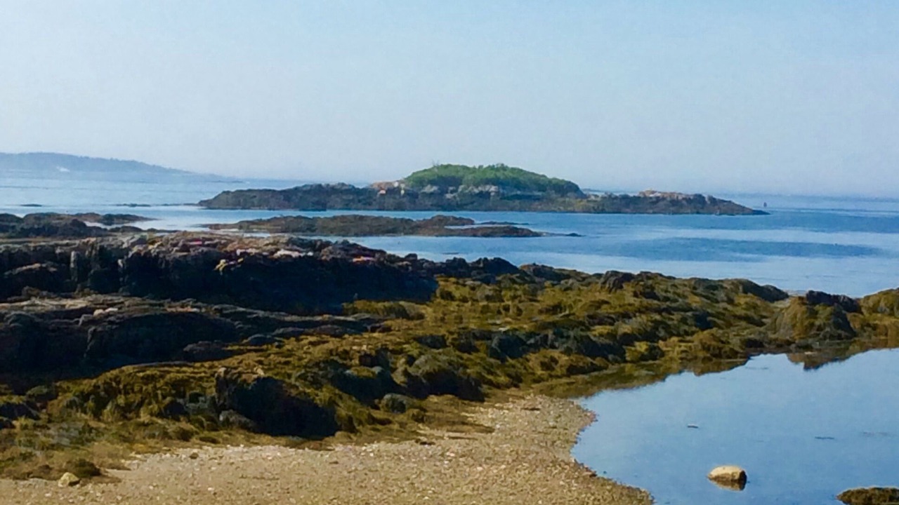 Photo of Others in Sebascodegan Island