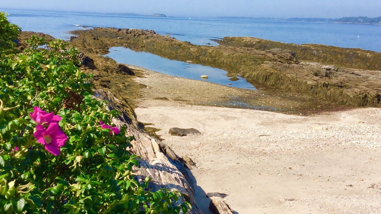 Photo of Others in Sebascodegan Island