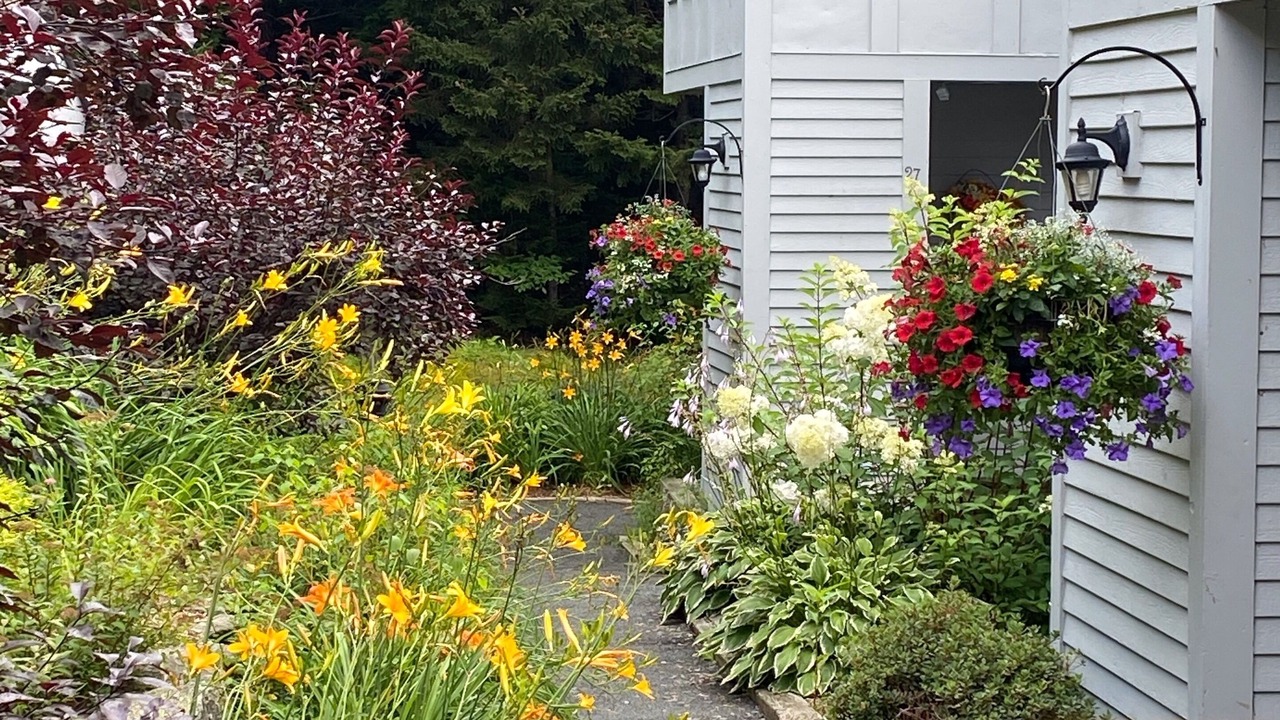 Photo of Outdoor in Wilmington