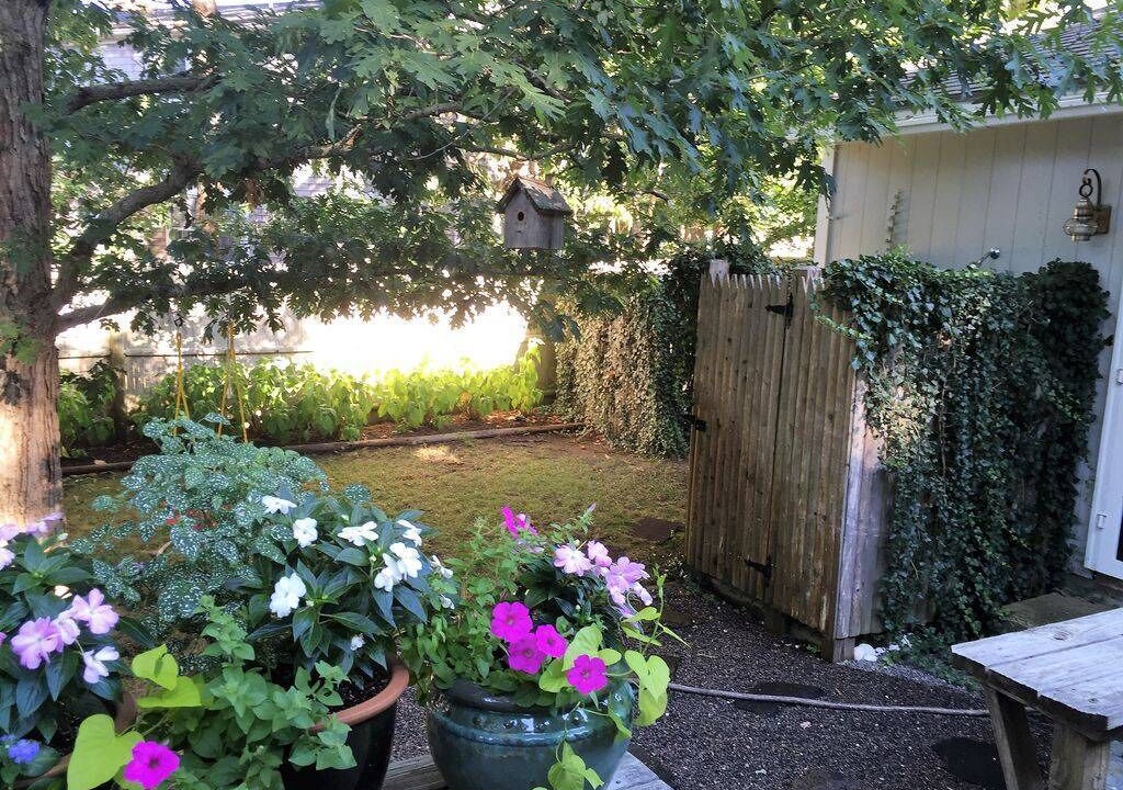 Photo of Outdoor in East Falmouth