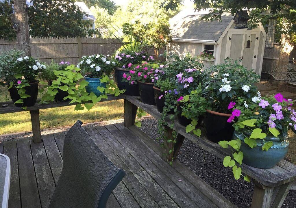 Photo of Patio Balcony in East Falmouth