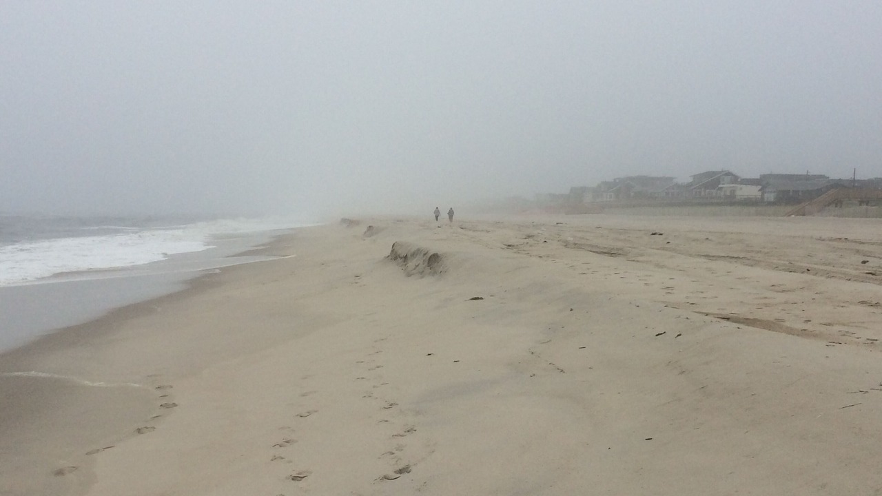 Photo of Others in Lonelyville