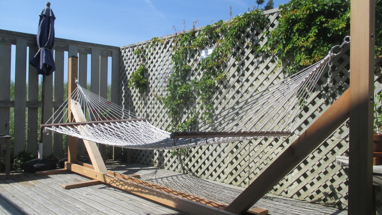 Photo of Outdoor in Lonelyville