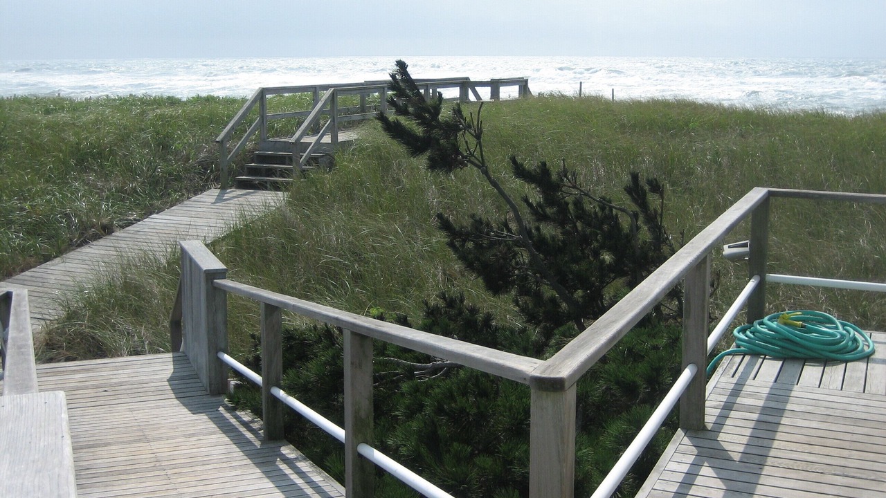 Photo of Outdoor in Lonelyville