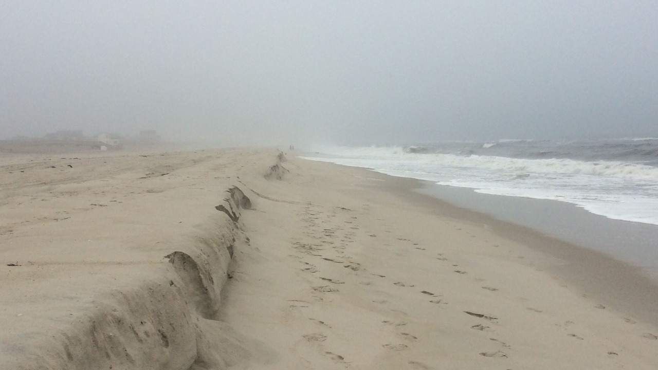 Photo of Others in Lonelyville
