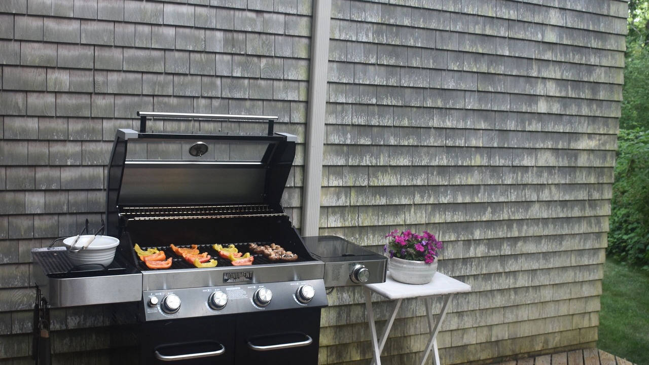 Photo of Outdoor in West Tisbury