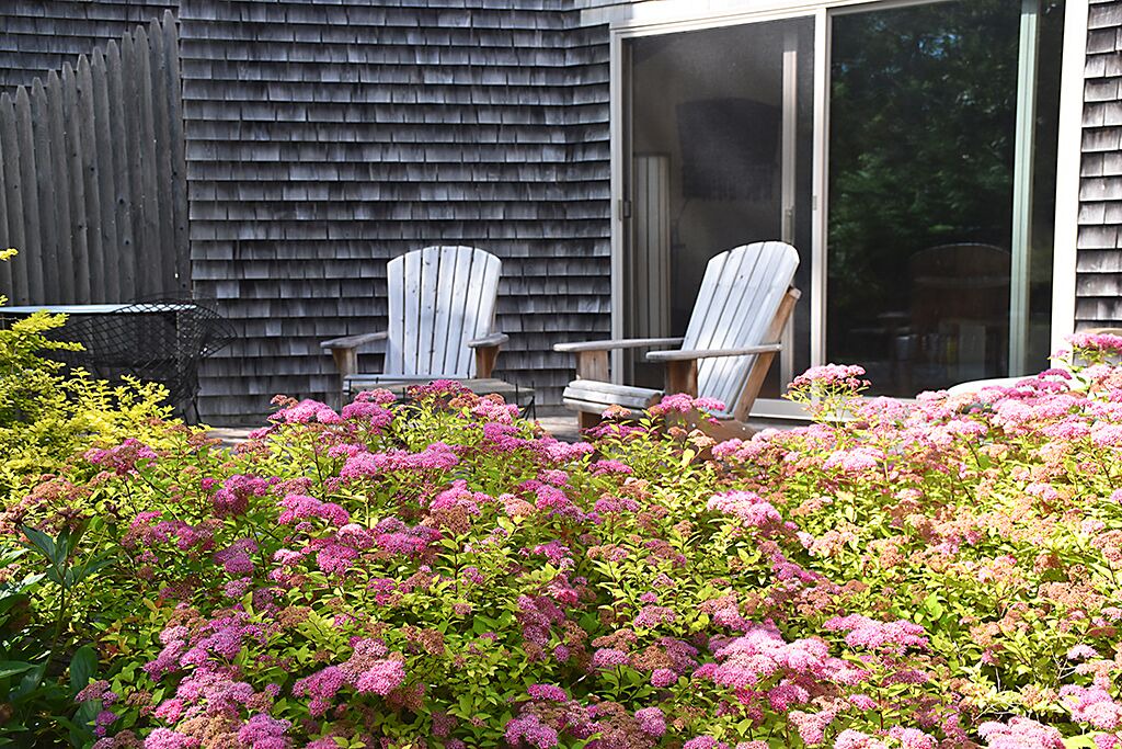 Photo of Others in West Tisbury