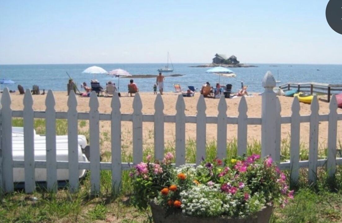 Photo of Others in Pine Orchard
