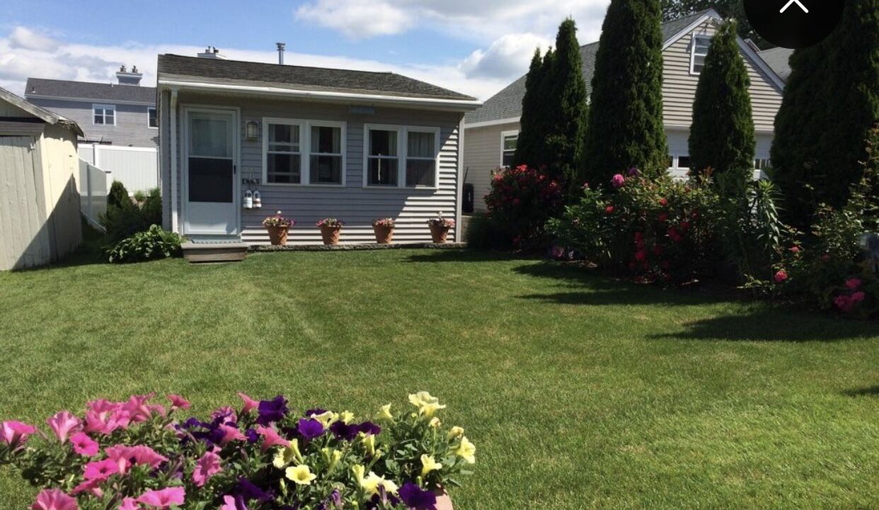 Photo of Outdoor in Pine Orchard
