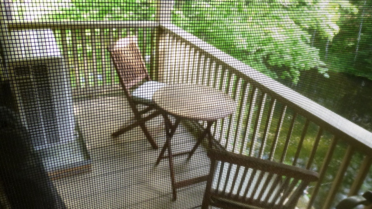 Photo of Outdoor in North Conway
