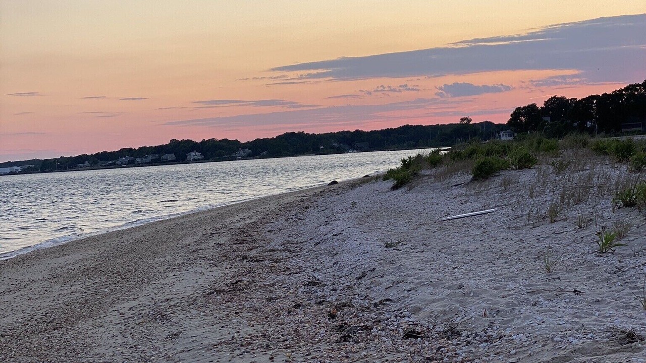 Photo of Others in Greenport West