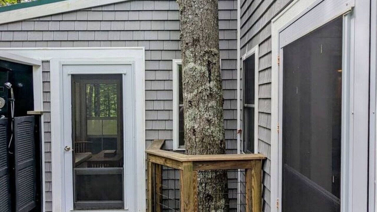 Photo of Outdoor in Hancock
