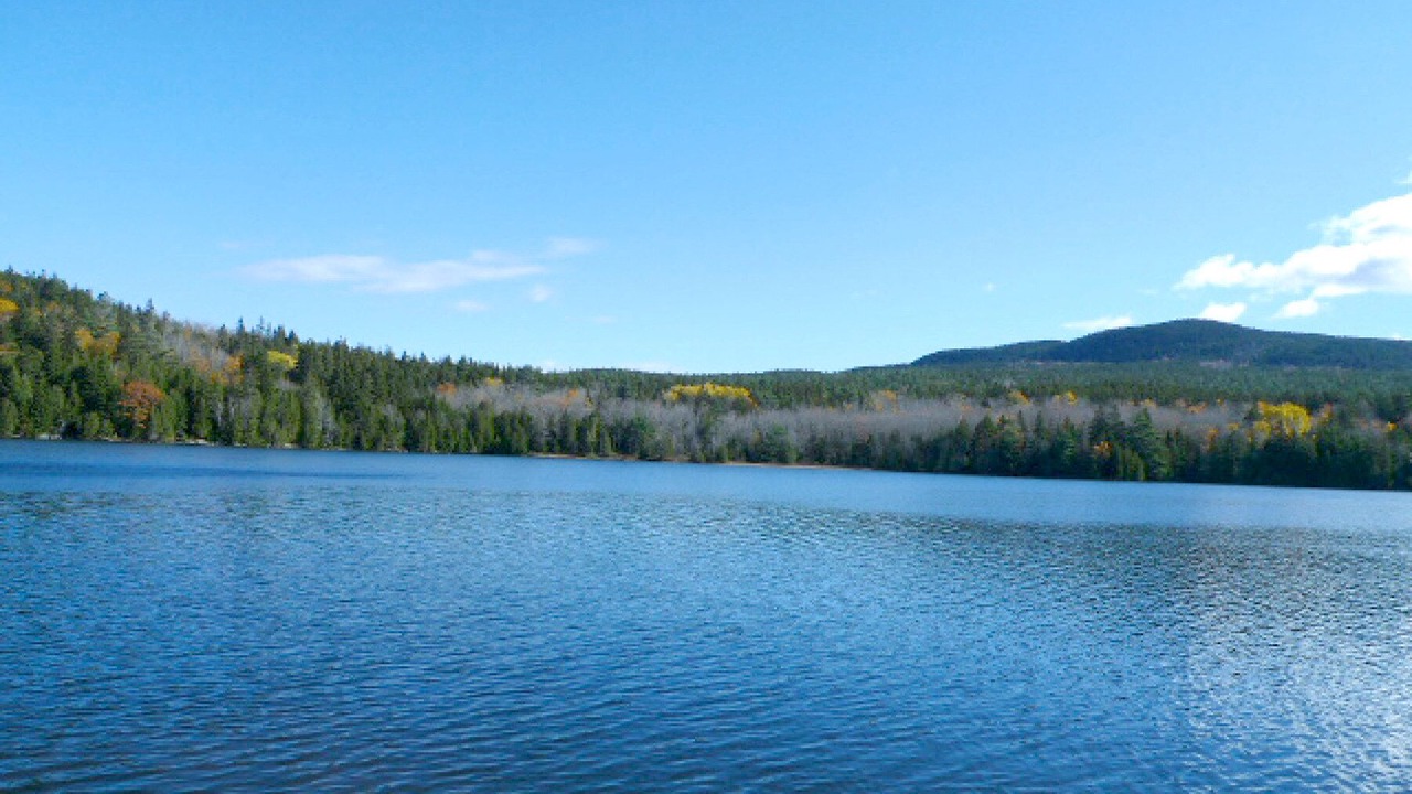 Photo of Outdoor in Seal Cove