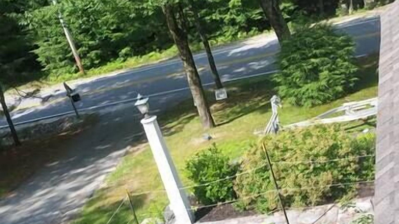 Photo of Others in South Casco
