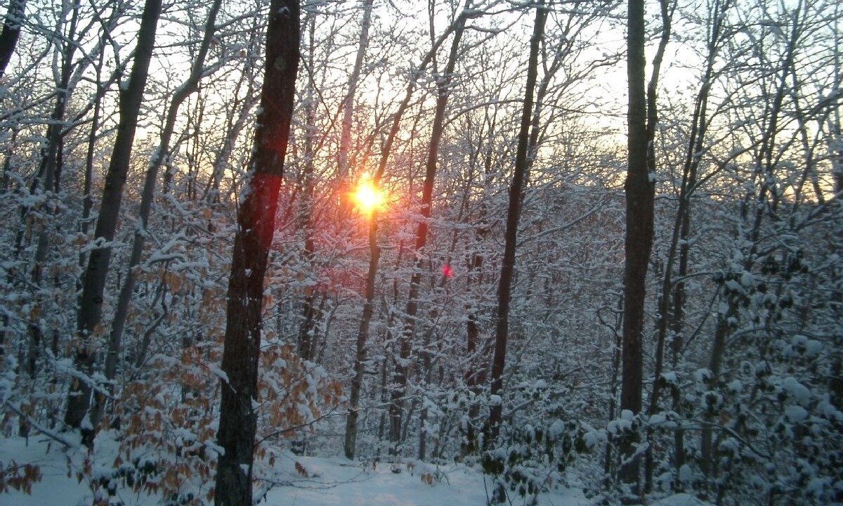 Photo of Outdoor in Berkshire