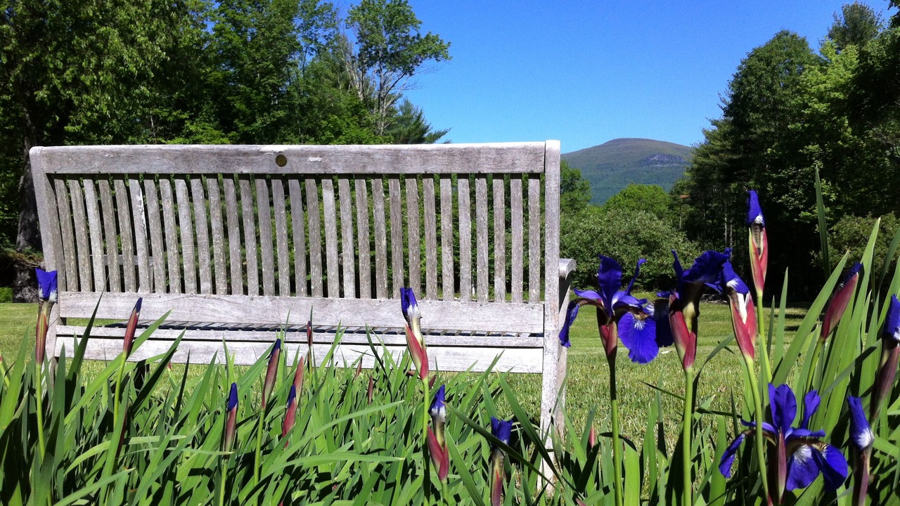 Photo of Outdoor in Mount Marion