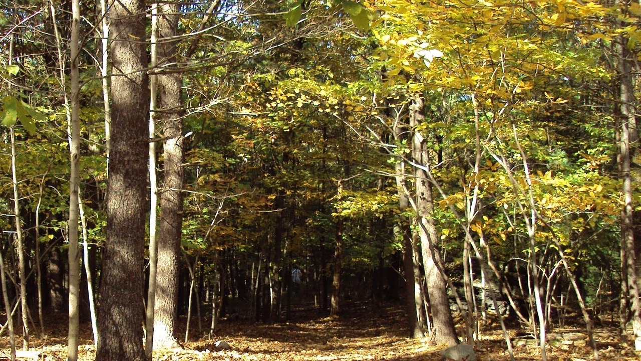 Photo of Outdoor in Mount Marion