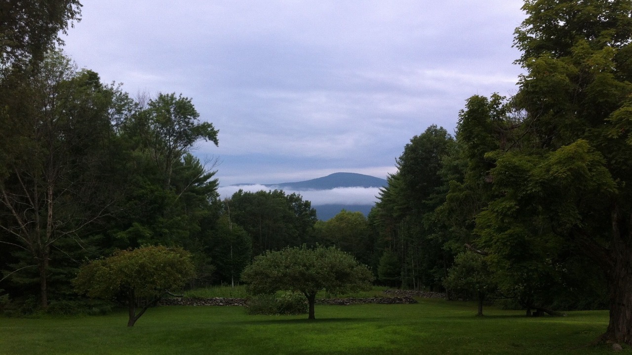 Photo of Outdoor in Mount Marion