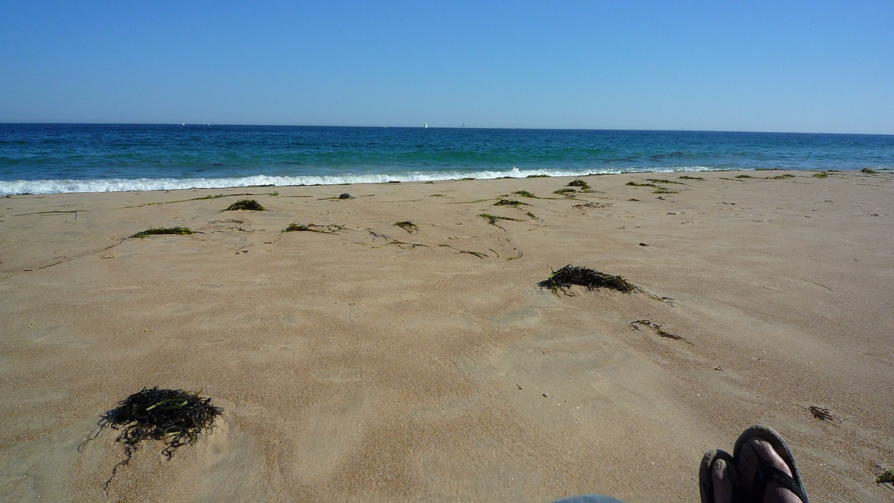 Photo of Others in West Yarmouth