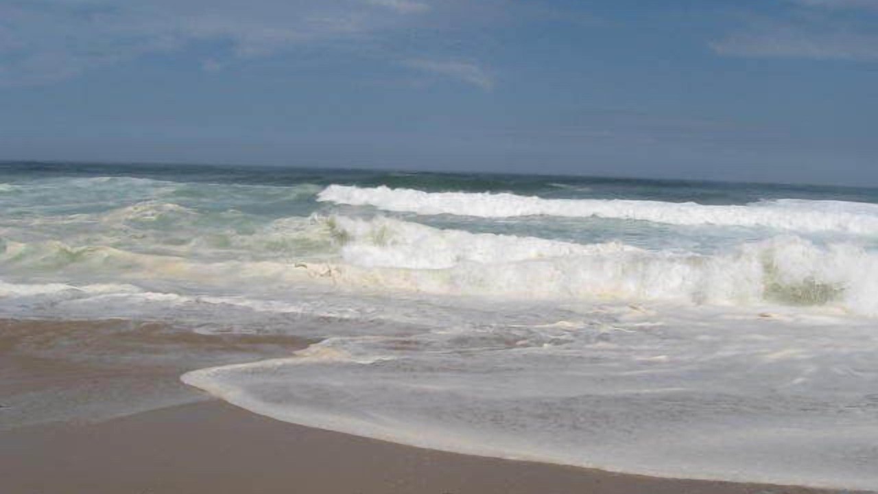 Photo of Others in Hyannis
