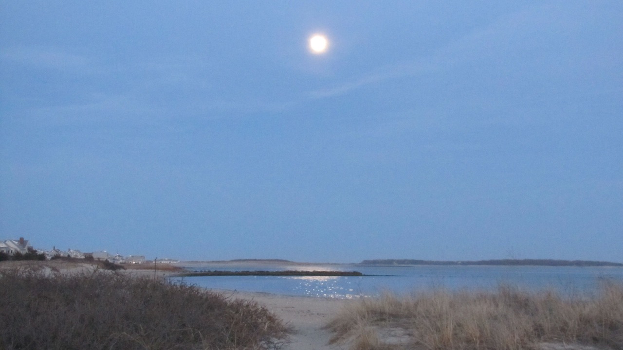 Photo of Others in Hyannis