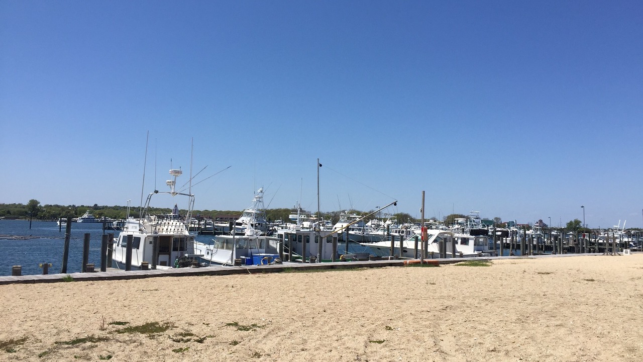 Photo of Others in Montauk