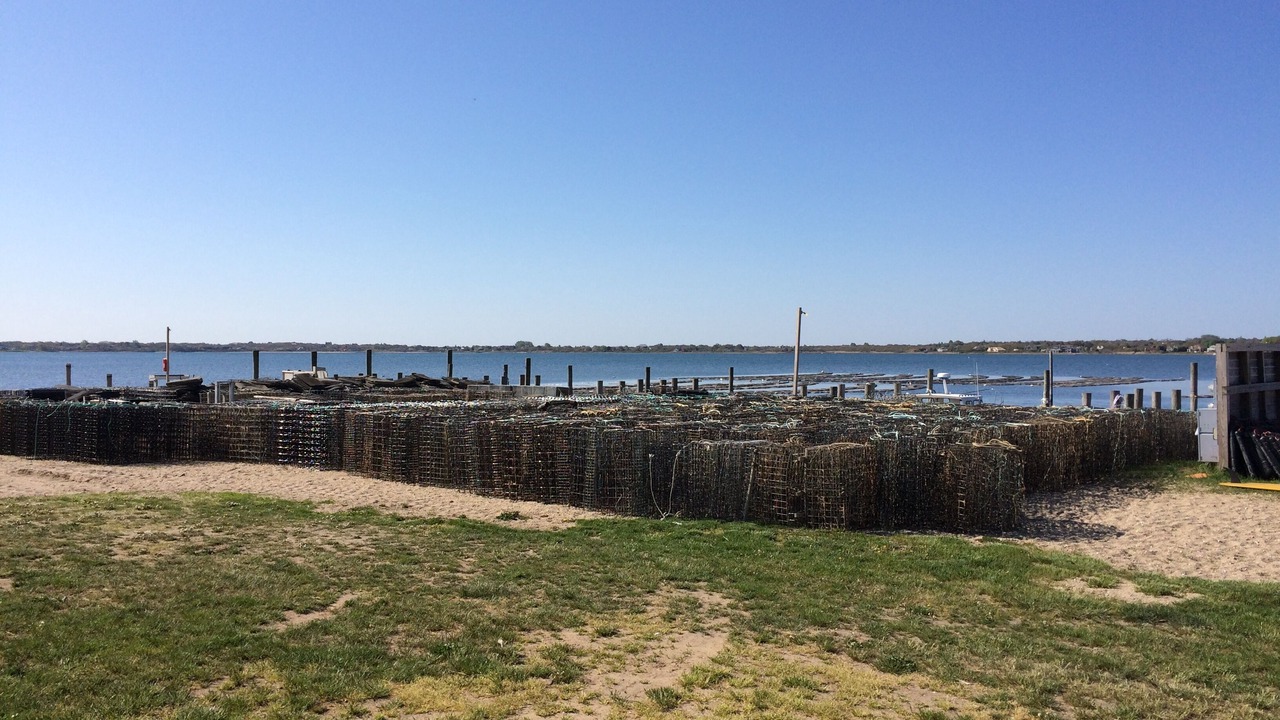 Photo of Others in Montauk
