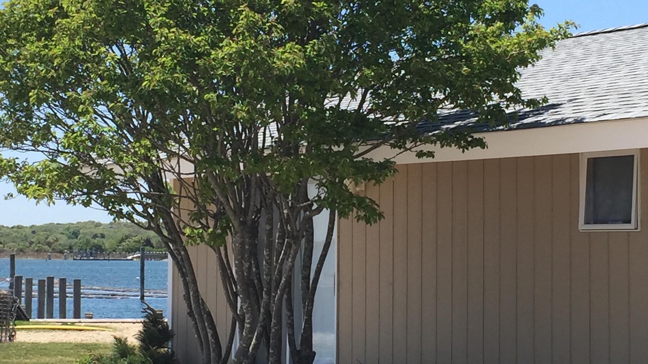Photo of Outdoor in Montauk