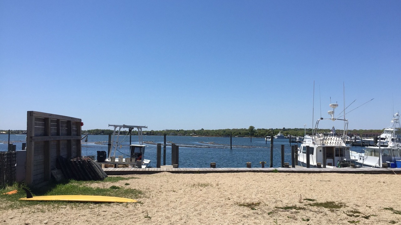 Photo of Others in Montauk
